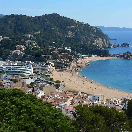 Apartman Miquel 1 En Centro De Y *